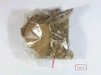 藏品(動物腿骨化石)的圖片